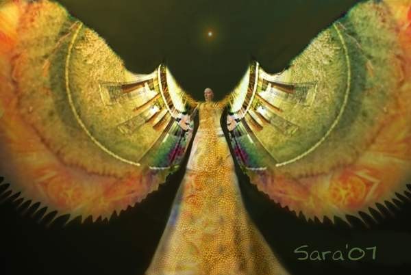 Winged We Were