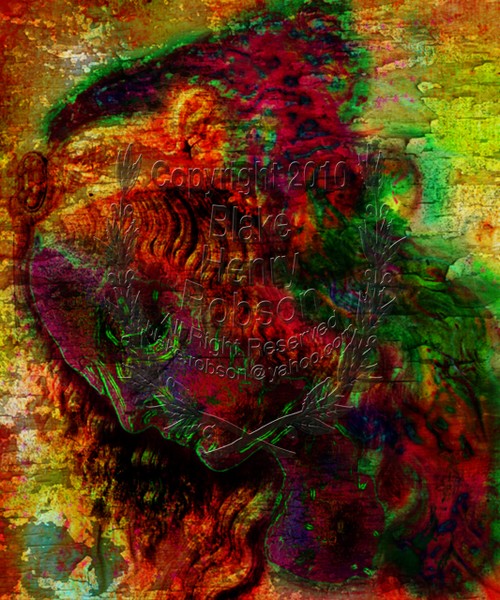 vinci13-x copy