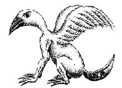 Mythologie Dragon