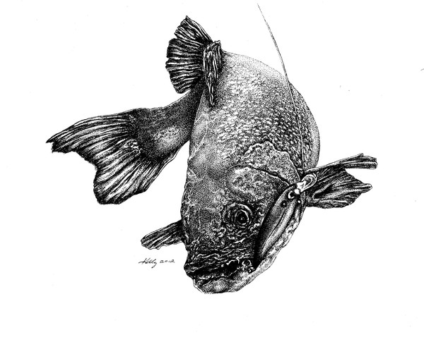 Walleye