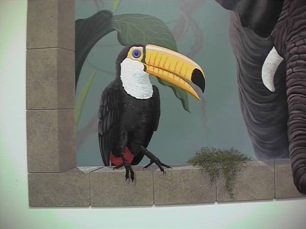 Toucan