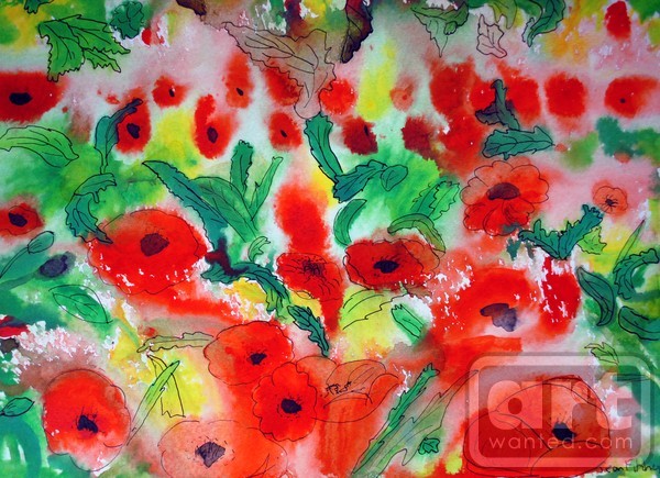 A Flow Of Red Poppys