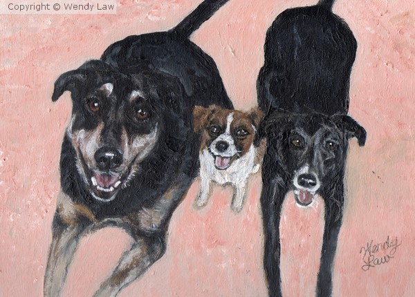 Bosco, Moe & Sully