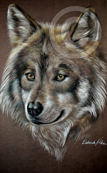 wolf