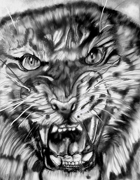 Silent Rage
