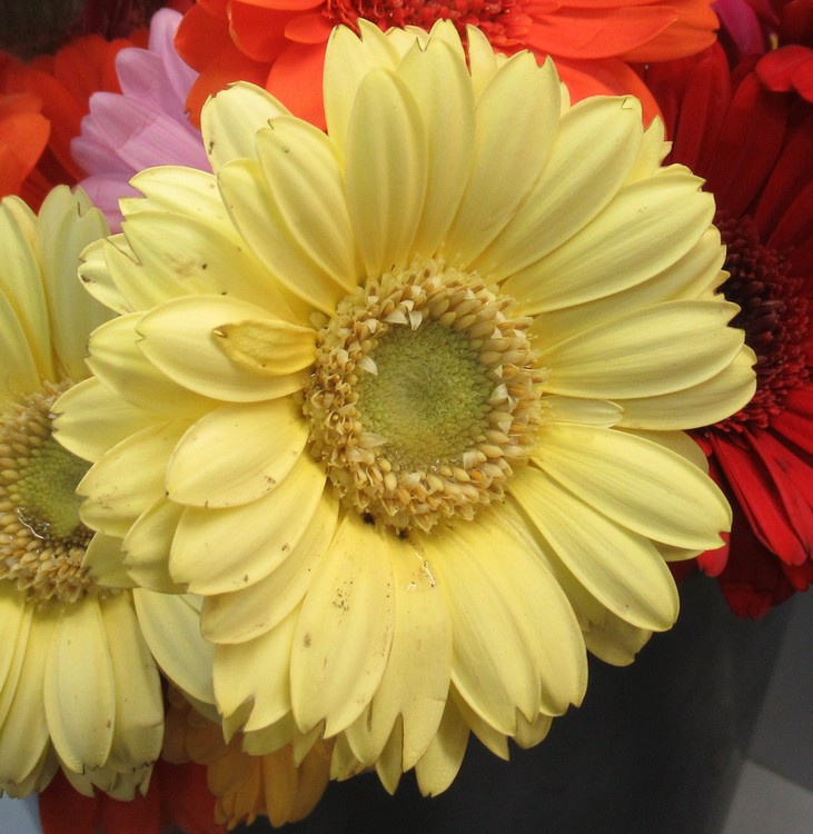 WISH YOU A SUNNY WEEK-END!!!