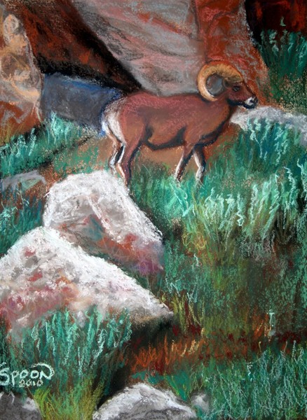 Bighorn Sheep