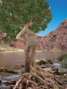 tree