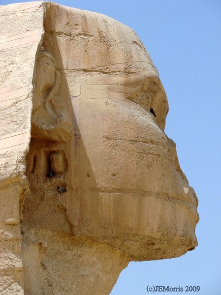 The Sphinx's Bust