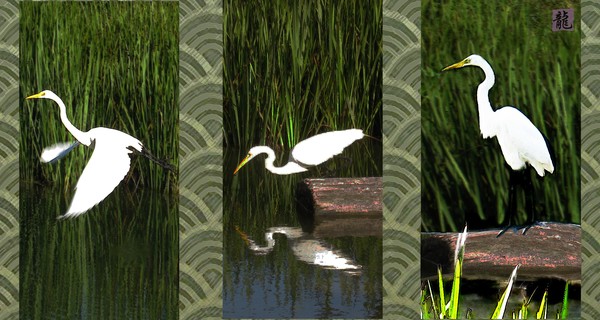 Crane Triptych