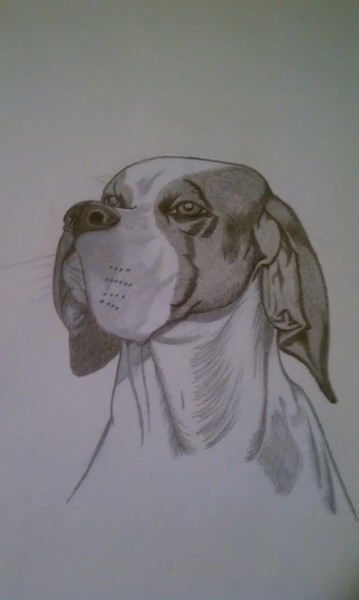 Hound Dog