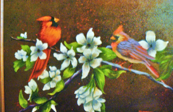 birds