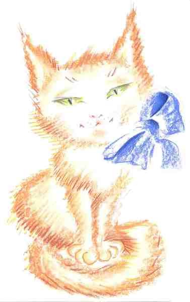red cat