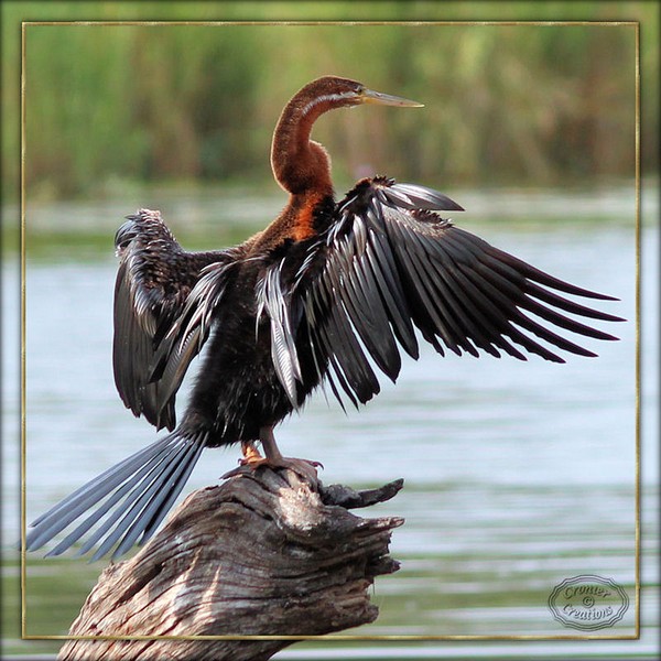 Gone fishing 10