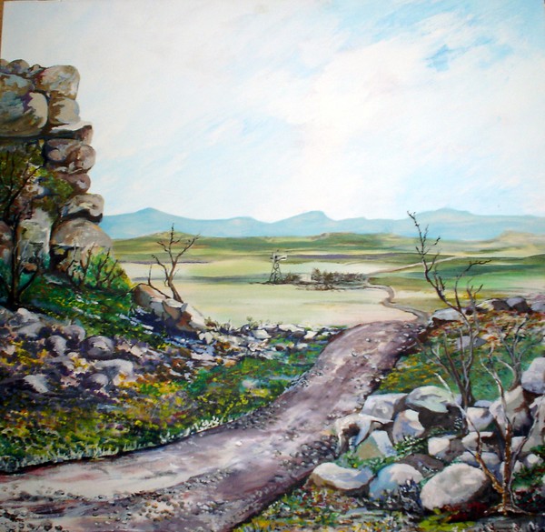 Road to Kleinzee
