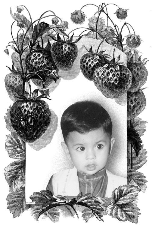 kshitij