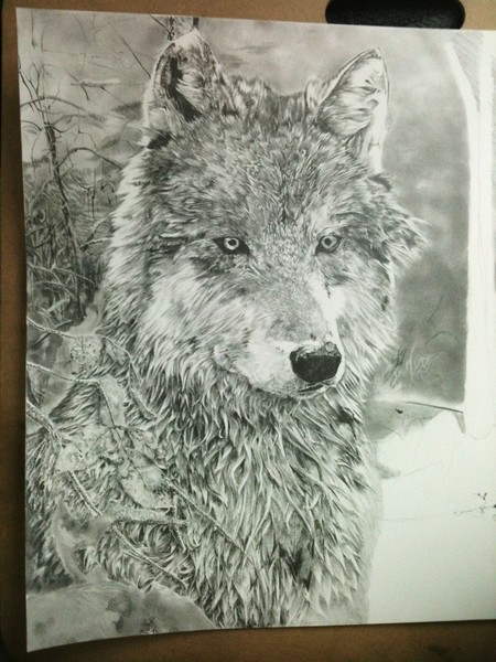 Wolf WIP 3