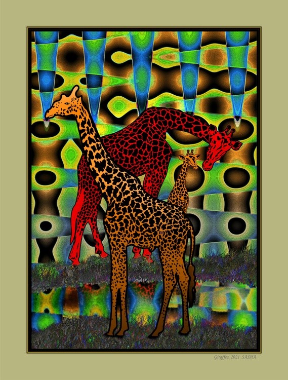 Giraffes