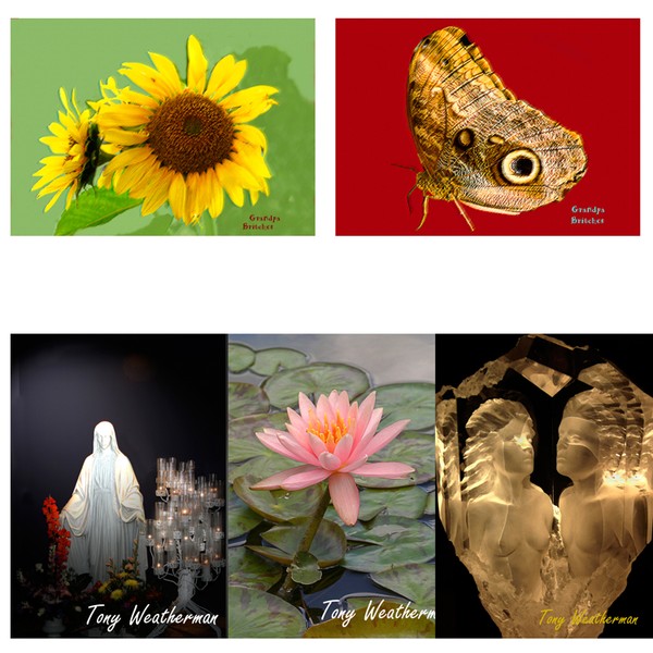 ATC/ACEO's Great Deal