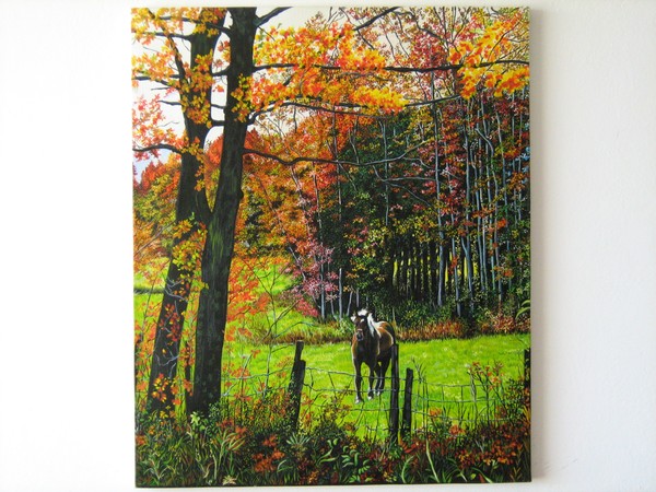 Caballo solitario