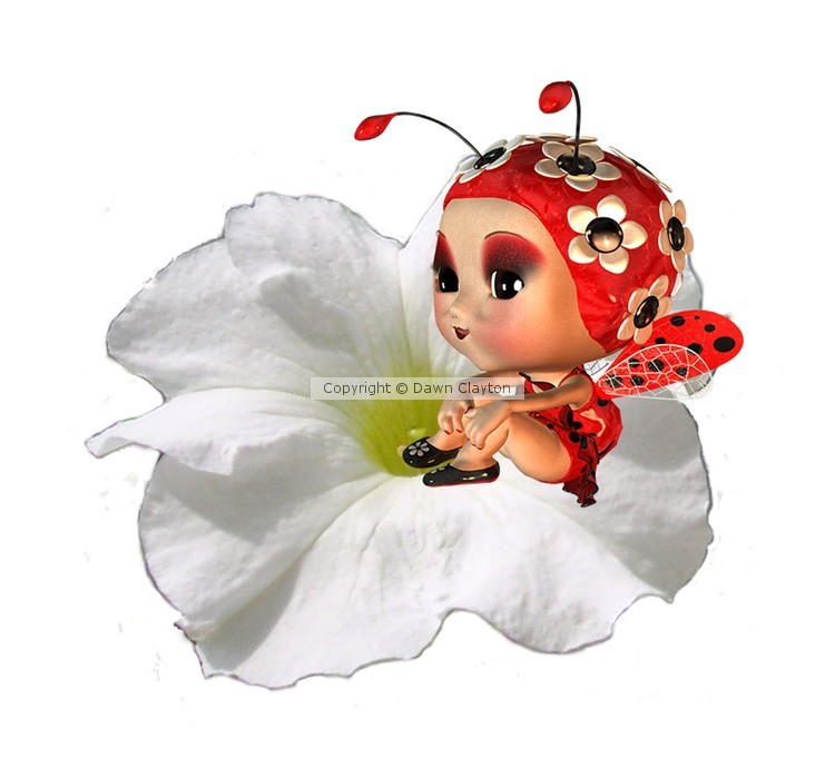 LITTLE LADYBIRD FAIRY