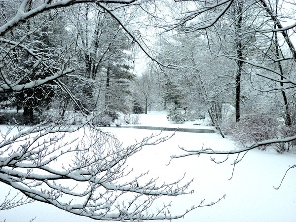Winter wonderland