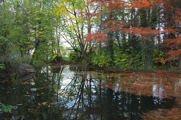 Autumn in colors