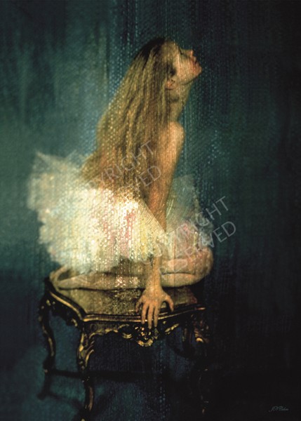 (10) Cygnet