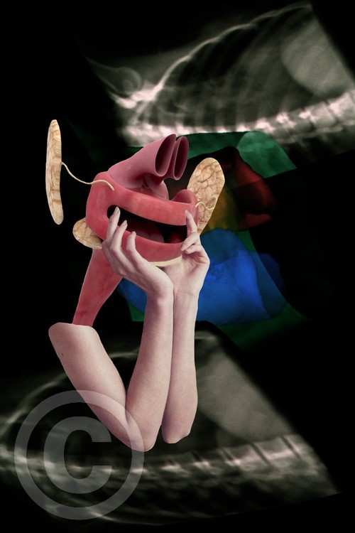 freejazz 11