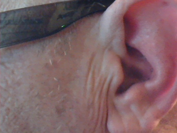 Picture 15