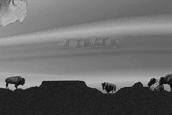 Spirits of the Bison
