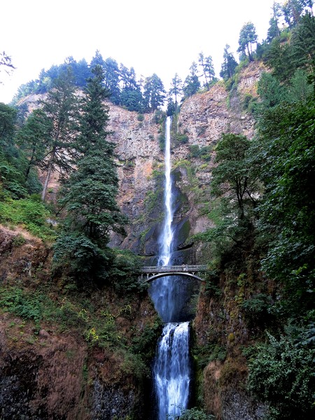 586 Multnomah waterfall