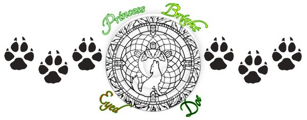 Dreamcatcher Armband