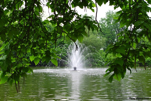 Water II