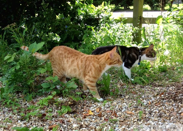 on the hunt