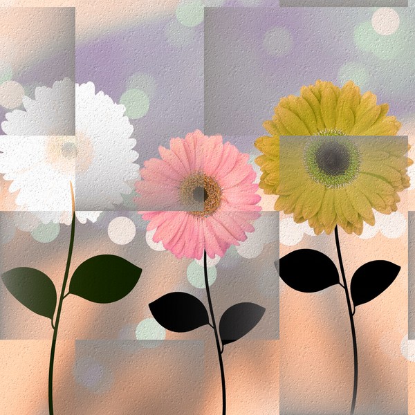 Delightful Daisies