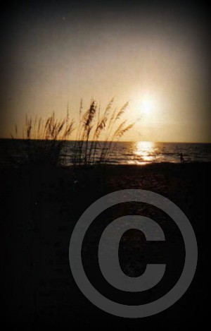 kds beach 09