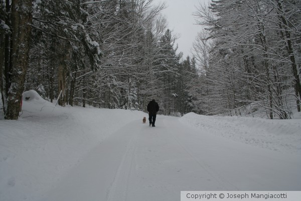 Walking the Dog