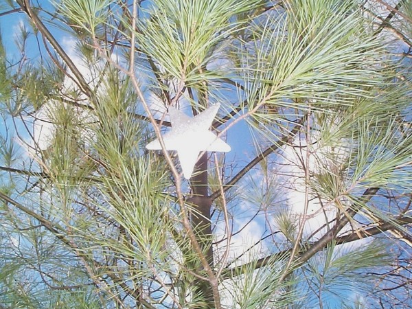 Star