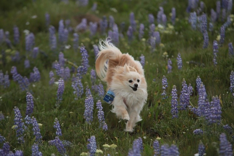 once uopn a time when it was warm