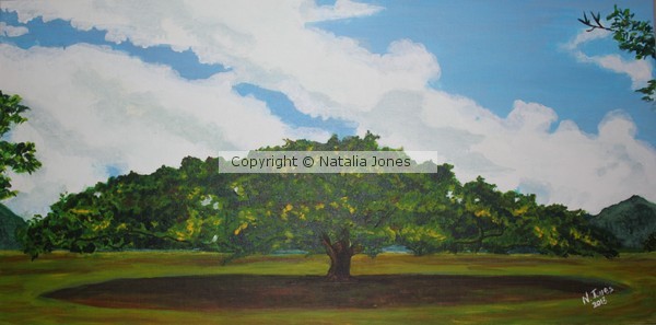 Savannah Tree