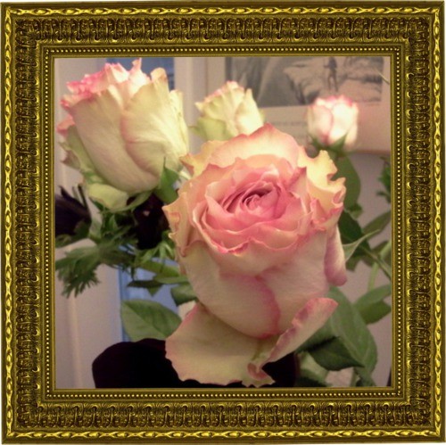 HAPPY BIRTHDAY MARIE-CLAIRE !!!!