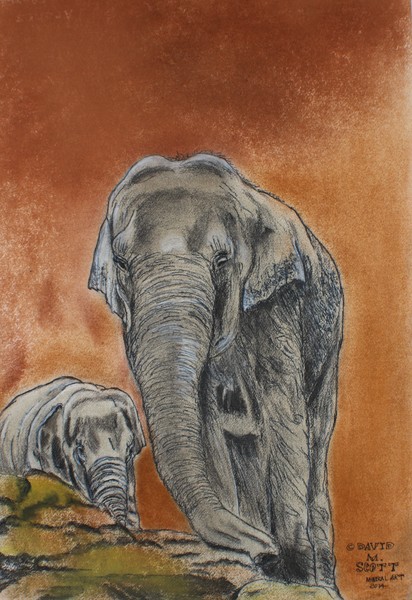 Mother and young Elephants