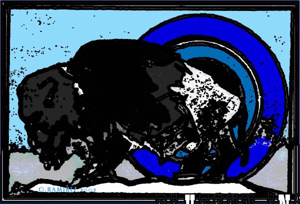 BUFFALO BLUE