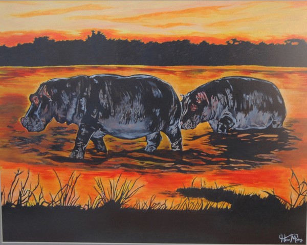 hippo ( sunset )