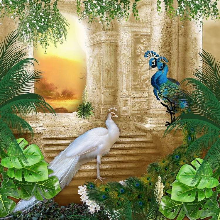 Gold fantasy square white peacocks