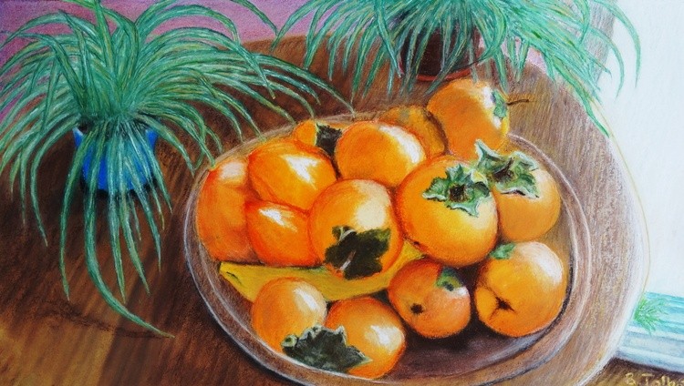 Persimmons with plants