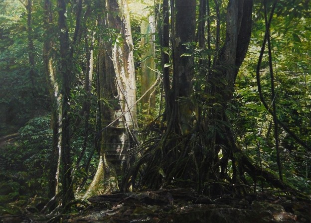 Light Show in The Rainforest 2