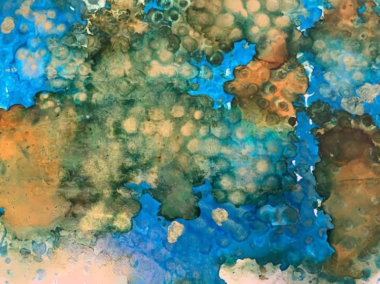 Honeycomb