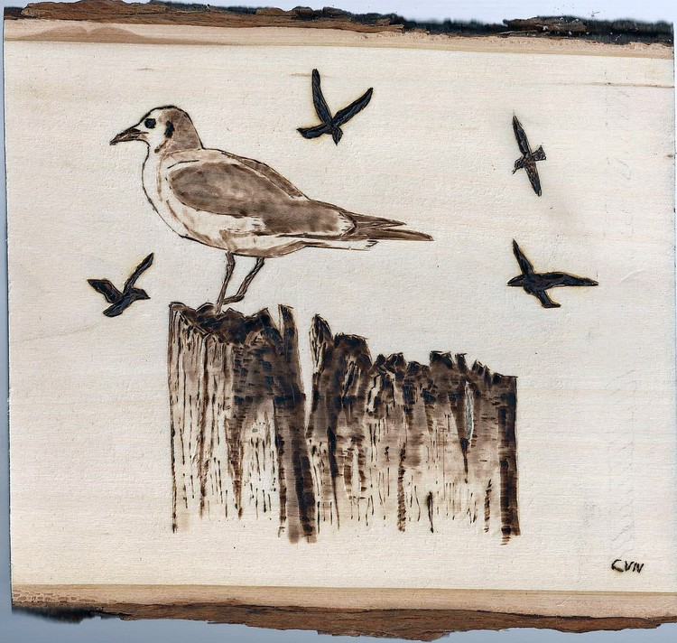 BEA's Seagull